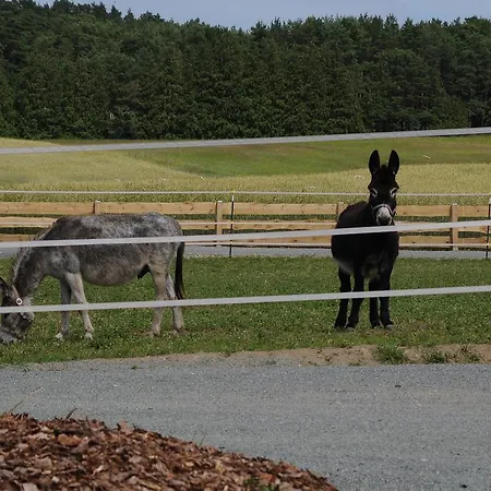Bungalow Ueckeritz Apartman