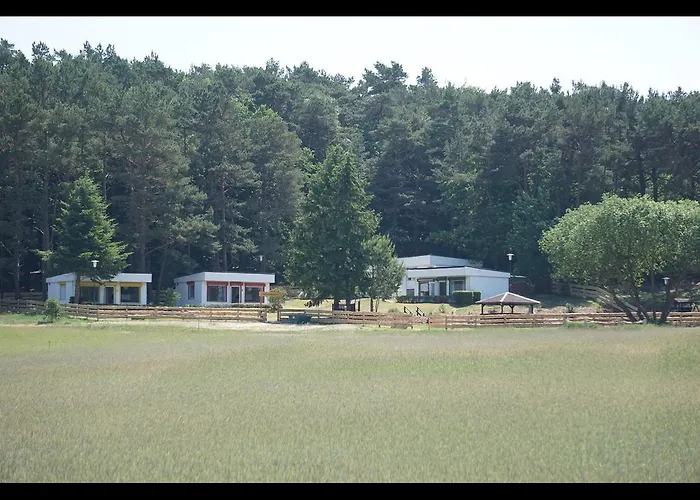 公寓 Bungalow Ueckeritz *